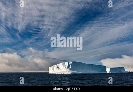 Riesige tafel-förmige Eisberge im Antarctic Sound nahe Brown Bluff, Antarktische Halbinsel Stockfoto