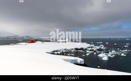 Mikkelsen Harbour, Trinity Island auf der Antarktischen Halbinsel. Die Schutzhütte wurde von der argentinischen Antarktisexpedition 1954-1955 angehoben Stockfoto