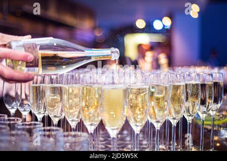 Der Barkeeper gießt Champagner in Gläser. An der Bar gab es ein Glas Champagner. Viele alkoholische Getränke. Stockfoto