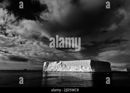 Tafel-geformter Eisberg im Antarctic Sound, Nordspitze der Antarktischen Halbinsel Stockfoto
