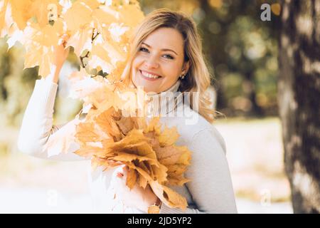 Charmante blonde Frau in Kaschmir leichten Pullover mit Bouquet von gelben Ahornblättern in ihren Händen geht an sonnigen Tag im Park. Blattfall. Farben von Stockfoto