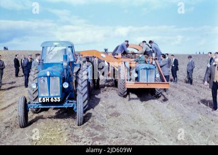 Historisches Foto einer Kartoffelernte mit zwei landwirtschaftlichen Traktoren und Landarbeitern auf dem Anhänger, die Kartoffeln auf einem Feld Ende 1950s sortieren, East Lothian, Schottland, Großbritannien Stockfoto