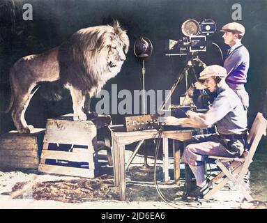 Aufnahme des berühmten Brüllens von Leo the Lion für die MGM (Metro Goldwyn Mayer) Studios. Kolorierte Version von : 10105066 Datum: 1928 Stockfoto