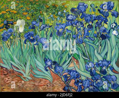 Iris. Vincent van Gogh. 1889. Stockfoto