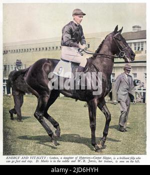 Godiva, eine Tochter von Hyperion und Carpet Slipper, mit D.Marks im Sattel und W.R. Jarvis, ihr Trainer auf der linken Seite. Kolorierte Version von: 10237562 Datum: 1940 Stockfoto