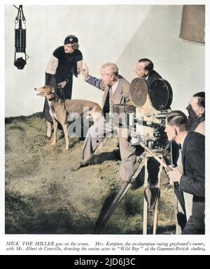 Mrs Arundel Kempton, Besitzerin des Ex-Champion Greyhound Mick the Miller, wird mit Mr Albert de Courville abgebildet, der den Hundestar im Gaumont-britischen Studiofilm „Wild Boy“ Regie führt. Kolorierte Version von: 10238099 Datum: 1933 Stockfoto