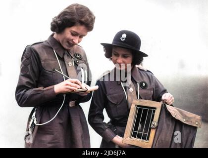 Prinzessin Elizabeth, Patrouillenführerin der Buckingham Palace Company, sendet eine Nachricht per Kuriertaube an Lady Baden Powell im Guide Headquarter. Es war eine der vielen Botschaften, die von Mädchen-Führern aus dem ganzen Land anlässlich des „Denktages“ geschickt wurden, der den Geburtstag des verstorbenen Lord Baden Powell feiert. Der Gründer der Pfadfinder und seine Frau Prinzessin Margaret hält den Taubenbehälter, während Prinzessin Elizabeth die Botschaft in Windsor schreibt. Kolorierte Version von: 10510762 Datum: 20.. Februar 1943 Stockfoto