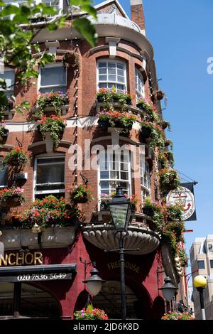 Neal's Yard ist ein entzückender Innenhof, der sich direkt an der Seven Dials hinter der Monmouth Street nördlich von Covent Garden befindet. Stockfoto