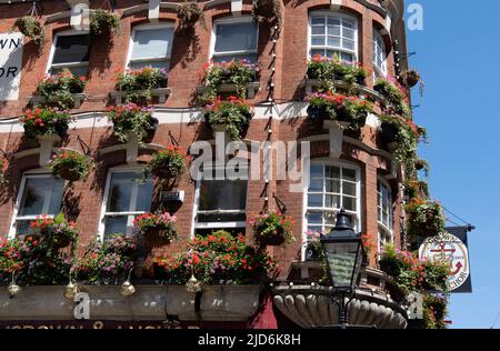 Neal's Yard ist ein entzückender Innenhof, der sich direkt an der Seven Dials hinter der Monmouth Street nördlich von Covent Garden befindet. Stockfoto