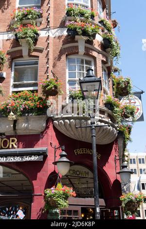 Neal's Yard ist ein entzückender Innenhof, der sich direkt an der Seven Dials hinter der Monmouth Street nördlich von Covent Garden befindet. Stockfoto