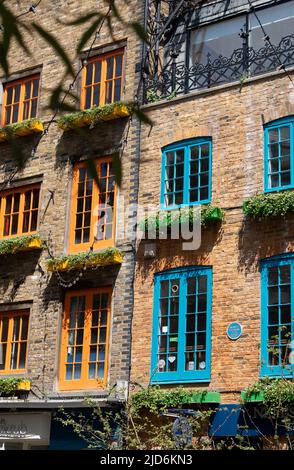 Neal's Yard ist ein entzückender Innenhof, der sich direkt an der Seven Dials hinter der Monmouth Street nördlich von Covent Garden befindet. Stockfoto