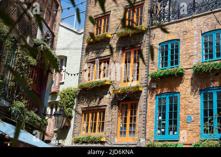 Neal's Yard ist ein entzückender Innenhof, der sich direkt an der Seven Dials hinter der Monmouth Street nördlich von Covent Garden befindet. Stockfoto