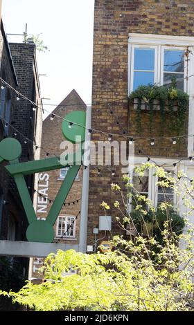 Neal's Yard ist ein entzückender Innenhof, der sich direkt an der Seven Dials hinter der Monmouth Street nördlich von Covent Garden befindet. Stockfoto