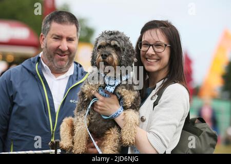 Knutsford, Großbritannien. 18.. Juni 2022. Das Dog Fest findet in Knutsford, Großbritannien, statt und bietet Aktivitäten für Hunde und deren Besitzer. Kredit: Barbara Cook/Alamy Live Nachrichten Stockfoto