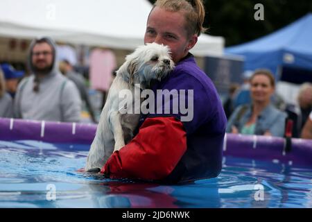 Knutsford, Großbritannien. 18.. Juni 2022. Das Dog Fest findet in Knutsford, Großbritannien, statt und bietet Aktivitäten für Hunde und deren Besitzer. Kredit: Barbara Cook/Alamy Live Nachrichten Stockfoto