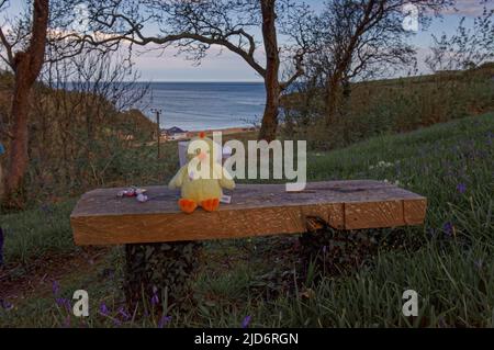 Maenporth Estate, Cornwall Stockfoto