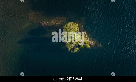 Eine Luftaufnahme eines einalleine wachsenden Baumes auf seiner eigenen Insel auf Crummock Water im Lake District, Großbritannien Stockfoto