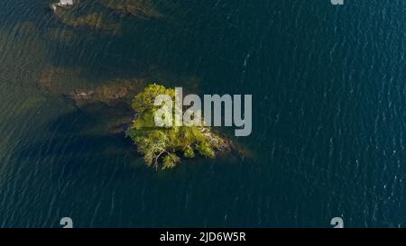 Eine Luftaufnahme eines einalleine wachsenden Baumes auf seiner eigenen Insel auf Crummock Water im Lake District, Großbritannien Stockfoto