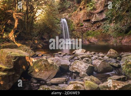 Todorokikyo fällt benannt nach dem ohrenbetäubenden Brüllen, das es macht, wenn das Wasser den Tauchpool trifft, umgeben von üppigem Grün und Felsen entlang des Sakai-Rives Stockfoto