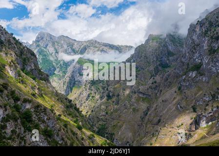 Senda del rio Cares, ein Weg, der durch eine Schlucht in den Picos de Europa, in der Catabrica-Bergkette verläuft. Stockfoto