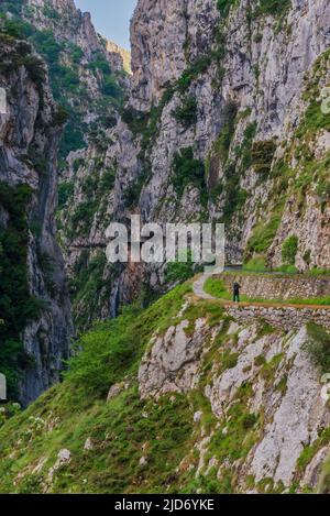 Senda del rio Cares, ein Weg, der durch eine Schlucht in den Picos de Europa, in der Catabrica-Bergkette verläuft. Stockfoto