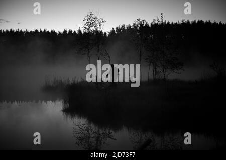 Mann im Nebel auf See. Der Mensch geht zum Wasser. Mystischer Nebel im Wald. Erholung im Freien. Schwarz-Weiß-Foto der natürlichen Landschaft am frühen Morgen. Stockfoto