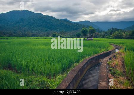 Foto von einem Ferienhaus in Lamsujen Reisfelder, Aceh, Indonesien. Stockfoto