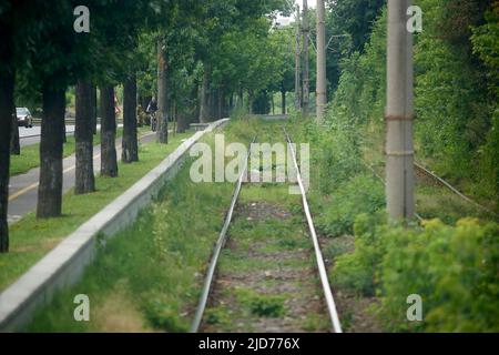 Bukarest, Rumänien - 17. Juni 2022: Straßenbahnlinien im Stadtteil pipera in Bukarest. Stockfoto