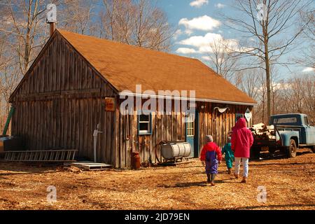 Eine Familie nähert sich einer rustikalen Zuckerhütte in Neuengland und lernt, wie ahornsaft in Sirup verwandelt wird Stockfoto