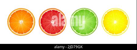 Zitronen-, Limetten-, Orangen- und Grapefruitscheiben, Banner-Vektorgrafik im flachen Cartoon-Stil isoliert auf weißem Hintergrund Stock Vektor
