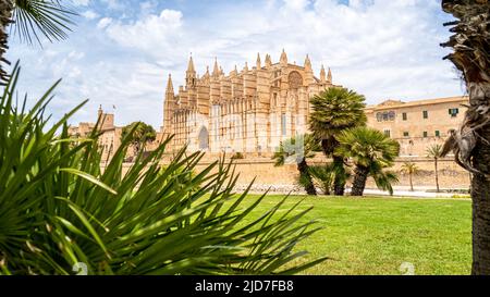 Seitenansicht der majestätischen gotischen Kathedrale von Santa Maria von Palma de Mallorca, die als La Seu de Mallorca bekannt ist, draußen von Sonnenlicht am Tag beleuchtet. Stockfoto