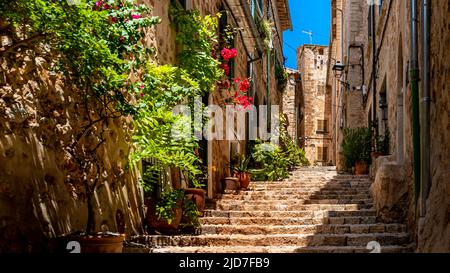 Schmale Gasse namens Carrer Metge Mayol mit aufsteigender Treppe im Zentrum des ländlichen Dorfes Fornalutx, gesäumt mit Topfpflanzen und Blumen. Stockfoto