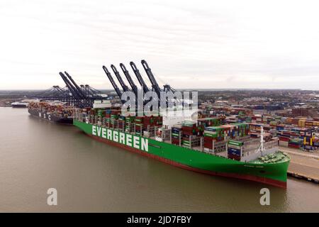 Das größte Frachtschiff der Welt, das Ace jemals hatte und den Rekord für die meisten auf ein einziges Schiff geladenen Container hält, kommt am Hafen von Felixstowe in Suffolk an, dem größten und verkehrsreichsten Containerhafen Großbritanniens. Bilddatum: Sonntag, 19. Juni 2022. Stockfoto