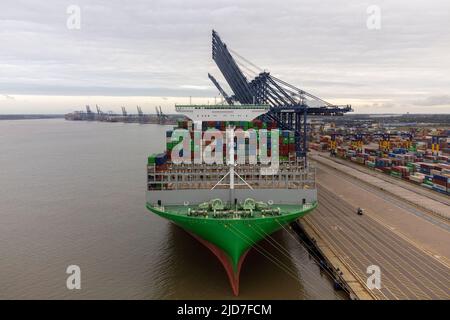 Das größte Frachtschiff der Welt, das Ace jemals hatte und den Rekord für die meisten auf ein einziges Schiff geladenen Container hält, kommt am Hafen von Felixstowe in Suffolk an, dem größten und verkehrsreichsten Containerhafen Großbritanniens. Bilddatum: Sonntag, 19. Juni 2022. Stockfoto