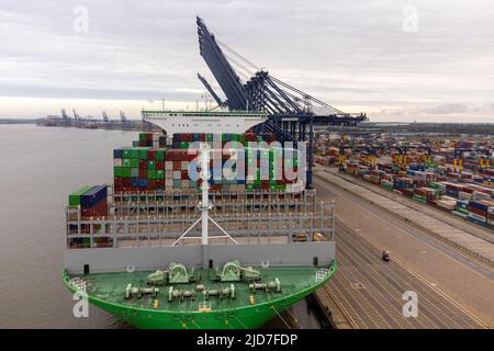 Das größte Frachtschiff der Welt, das Ace jemals hatte und den Rekord für die meisten auf ein einziges Schiff geladenen Container hält, kommt am Hafen von Felixstowe in Suffolk an, dem größten und verkehrsreichsten Containerhafen Großbritanniens. Bilddatum: Sonntag, 19. Juni 2022. Stockfoto