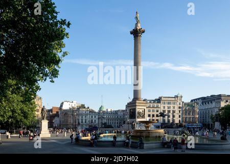 Architektonisches Detail des Trafalgar Square, einem öffentlichen Platz in der City of Westminster, Central London, der Anfang des 19.. Jahrhunderts errichtet wurde Stockfoto