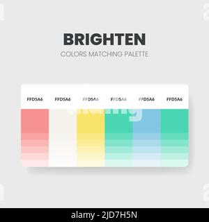 Ideen für helle Farbschemata. Farbpaletten sind in diesem Jahr Trendkombinationen und Palettenführer, eine Tabelle mit Farbschattierungen in RGB oder HEX. Ein farbschalter Stock Vektor