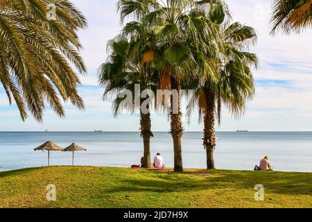 Strand mit Palmen und Menschen, die in der Gegend sitzen und auf das Meer blicken. Malaga Stockfoto