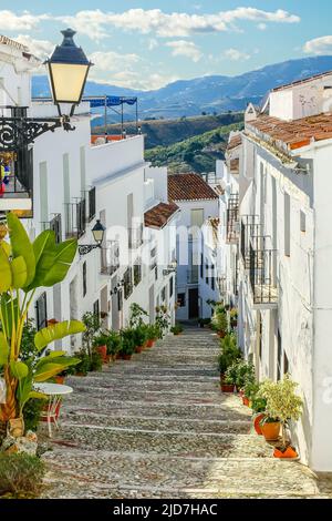 Schmale Gasse einer andalusischen Stadt mit ihren weißen Häusern und den Bergen im Hintergrund. Frigiliana Malaga. Stockfoto