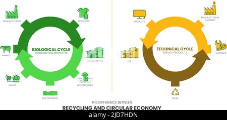 Das Vektor-Infografik-Diagramm der Differenz zwischen der Kreislaufwirtschaft und Recycling hat den biologischen Zyklus in der Konsumproduktion und die Stock Vektor