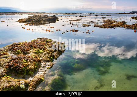 Spiegelungen von Wolken im ruhigen Wasser des Meeres und Felsen mit Algen an der Oberfläche. Stockfoto