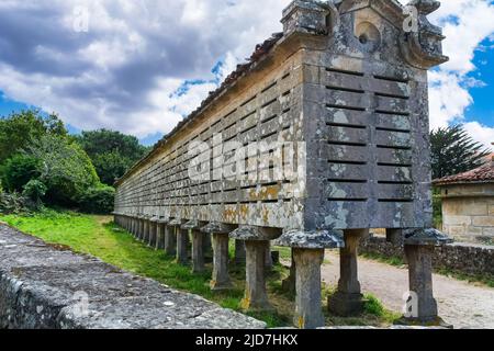 Riesen-Horreo, um die Ernte auf dem Feld in Galicien zu halten. Stockfoto