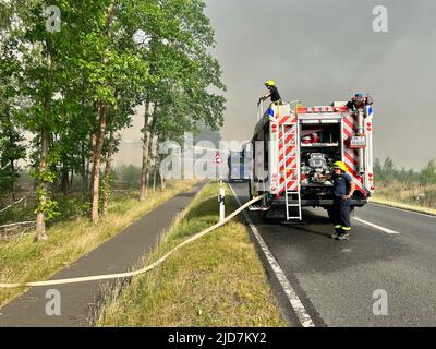 Treuenbrietzen, Deutschland. 19.. Juni 2022. Feuerwehrleute sind bei einem Waldbrand im Einsatz. Das vom Waldbrand betroffene Gebiet in Treuenbrietzen bei Berlin hat sich in der Nacht auf Sonntag erweitert. Quelle: Thomas Schulz/TNN/dpa/Alamy Live News Stockfoto