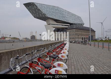 Velo Antwerpen mietet Fahrräder an einem Stand im Hauptsitz der Hafenbehörde von Havenhuis, Antwerpen, Belgien Stockfoto