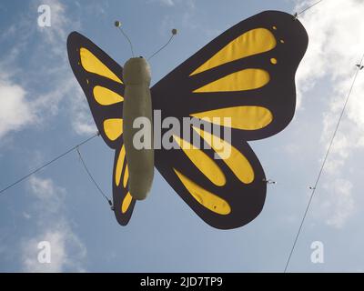 Schmetterlingsinstallation in Southgate, Bath, unterstützt die Arbeit des Trauma Breakthrough. Steht für Hoffnung und Freiheit. Stockfoto