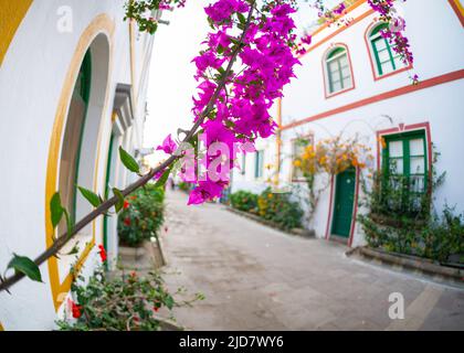 Februar 3 2022 Puerto de Mogan Kanarische Inseln Spanien eine Stadt voller enger Straßen mit rosa roten und orangen Blumen Gewölbe mit bunten Gebäuden mit Stockfoto