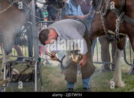 Cork, Irland. 18.. Juni 2022. Meister Farrier David Madden hat auf der Cork Summer Show, die auf dem showgrounds in Curraheen, Cork, Irland, stattfand, einen Schuh fachmännisch auf gepaarte Hufe mit der uralten Kunst der Hot-Shoe-Methode angebracht.- Credit; David Creedon / Alamy Live News Stockfoto