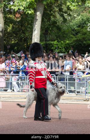 Seamus, der irische Wolfhound, und sein Handler, Schlagzeuger Adam Walsh, Maskottchen für die Irish Guards während des Troopings der Farbe Stockfoto