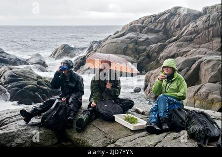 Biologiestudenten im september auf einem Biologieausflug an die rauen Küsten des Südwestnorwegens. Stockfoto