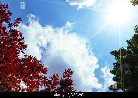 In vielen Regionen in Deutschland werden Temperaturen über 30 Grad für das Wochenende vom 17.06.22-19.06.22 erwartet. * Temperaturen über 30 Grad Stockfoto